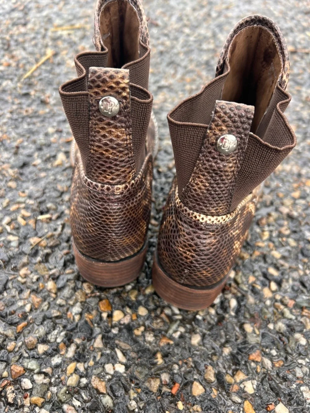Donald J. Pliner Brown Snake-Print Studded Leather Ankle Booties